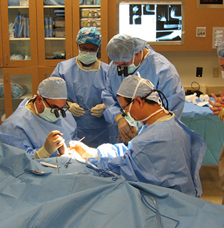 Orthopedics Moses Surgery